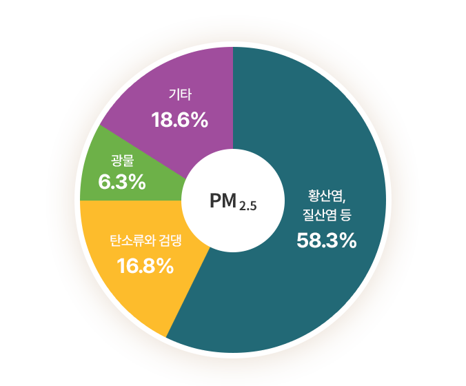 미세먼지 성분 구성(%) 이미지